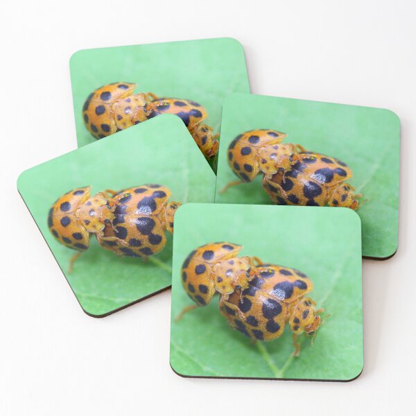 Item preview, Ladybird Love designed and sold by Siene Browne.