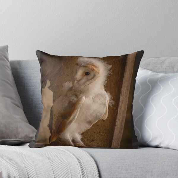 Item preview, Barn Owlet designed and sold by JoHackman.