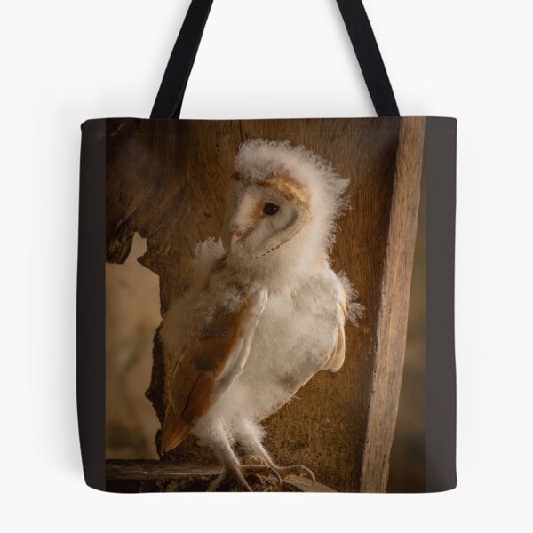 Item preview, Barn Owlet designed and sold by JoHackman.