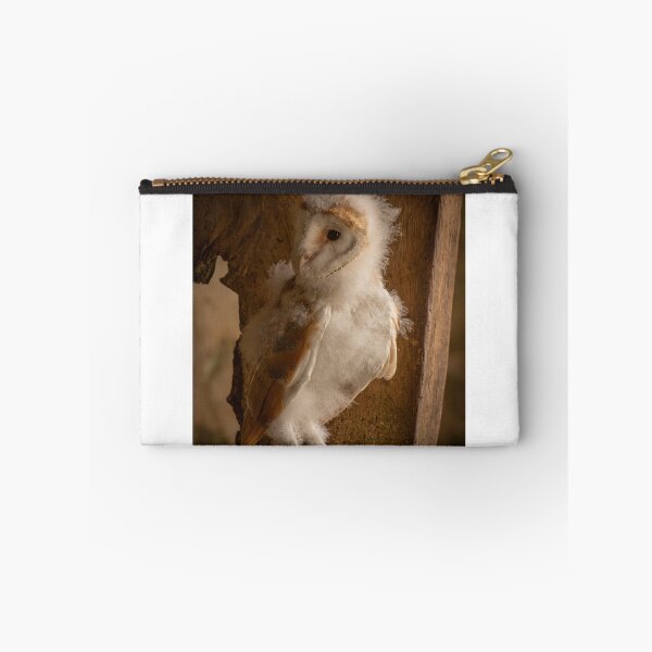 Item preview, Barn Owlet designed and sold by JoHackman.