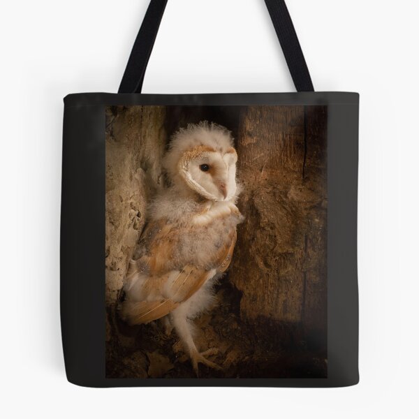 Item preview, Barn Owlet 2 designed and sold by JoHackman.