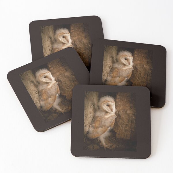 Item preview, Barn Owlet 2 designed and sold by JoHackman.