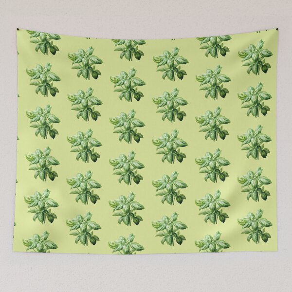 Item preview, Basil Plant designed and sold by taniasofia.