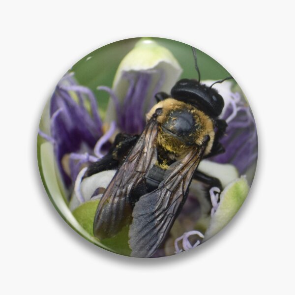 Item preview, Bee in Flower designed and sold by bertsworks300.