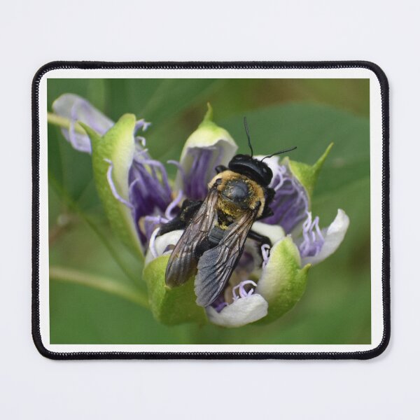 Item preview, Bee in Flower designed and sold by bertsworks300.
