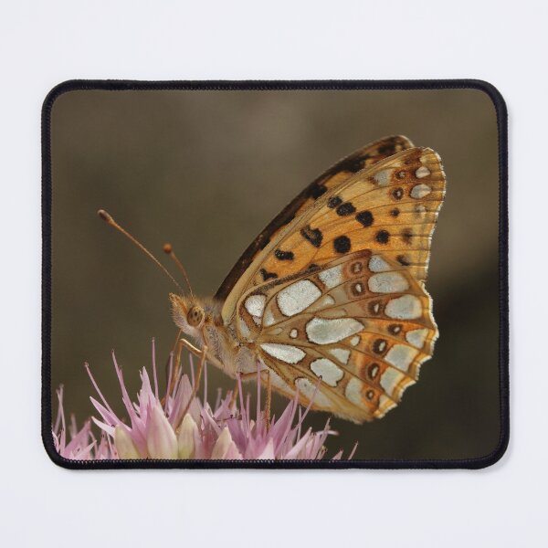 Item preview, butterfly on a flower designed and sold by Photomoment.