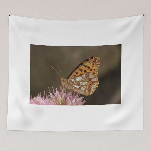 Item preview, butterfly on a flower designed and sold by Photomoment.