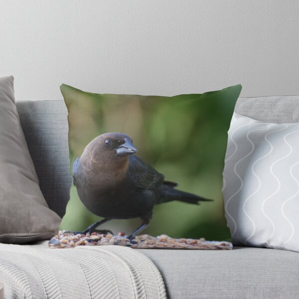 Item preview, A cowbird bird at the feeder designed and sold by Claude Laprise.