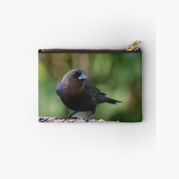 Item preview, A cowbird bird at the feeder designed and sold by Claude Laprise.