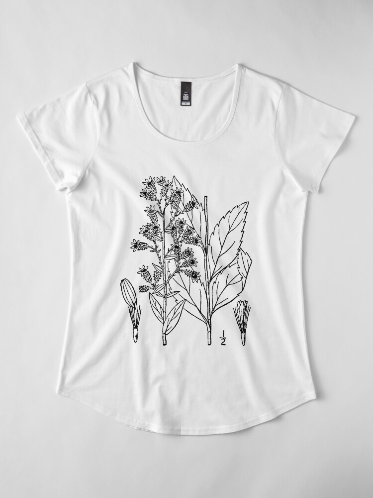 Alternate view of Botanical Scientific Illustration Black and White Premium Scoop T-Shirt