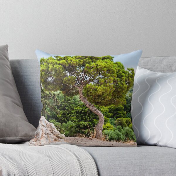 Item preview, Pinus pinea designed and sold by Yevgeni Kacnelson.