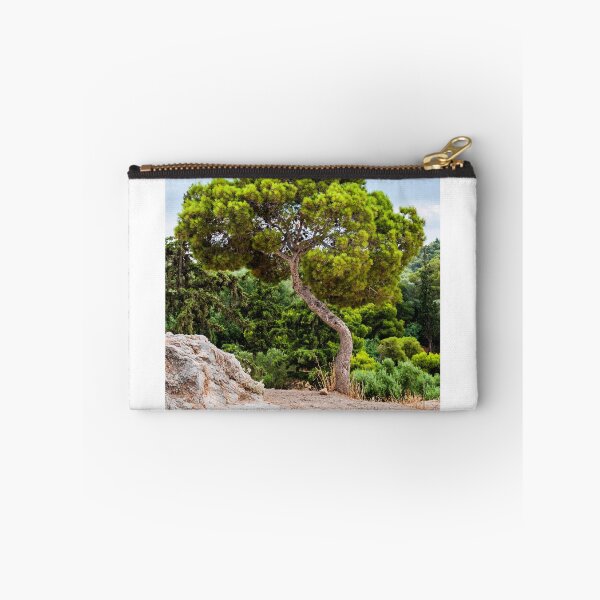 Item preview, Pinus pinea designed and sold by Yevgeni Kacnelson.