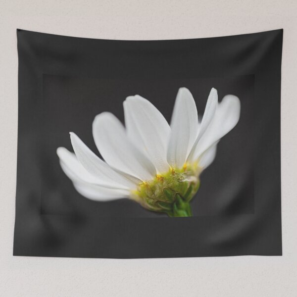 Item preview, Sweet Marguerite designed and sold by metriognome.