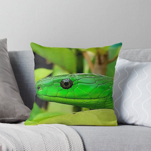 Item preview, Head of a Green Mamba (Dendroaspis angusticeps) designed and sold by FlutterByH.