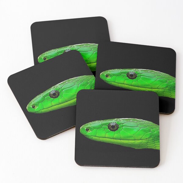 Item preview, Head of a Green Mamba (Dendroaspis angusticeps) designed and sold by FlutterByH.
