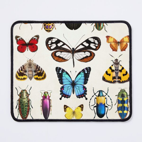 Item preview, Bichos Mariposas Insectos naturaleza Decoración de pared designed and sold by Anaconda23.