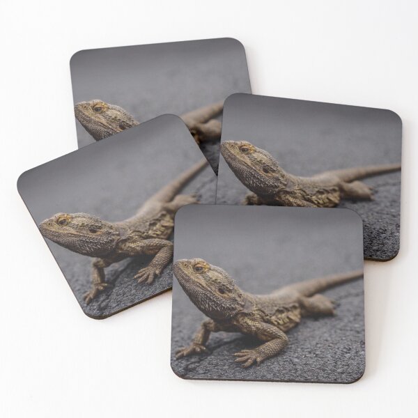 Item preview, Bearded Dragon (Pogona vitticeps) designed and sold by FlutterByH.