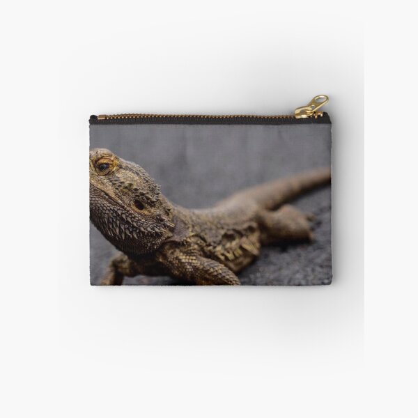 Item preview, Bearded Dragon (Pogona vitticeps) designed and sold by FlutterByH.