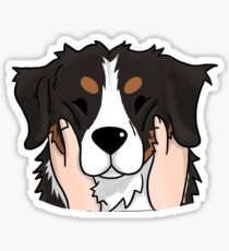 Funny Chubby Cheeks Bernese Mountain Dog Sticker