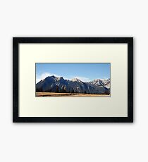 Jasper Framed Print