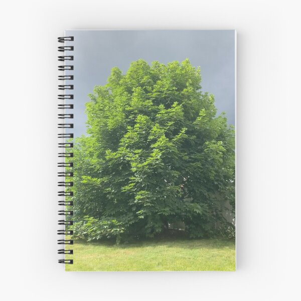 Item preview, Maple Tree With Ominous Sky designed and sold by Amanda1775.
