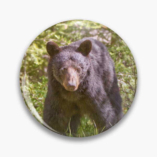 Item preview, I'm beary Friendly designed and sold by Canad-Art.
