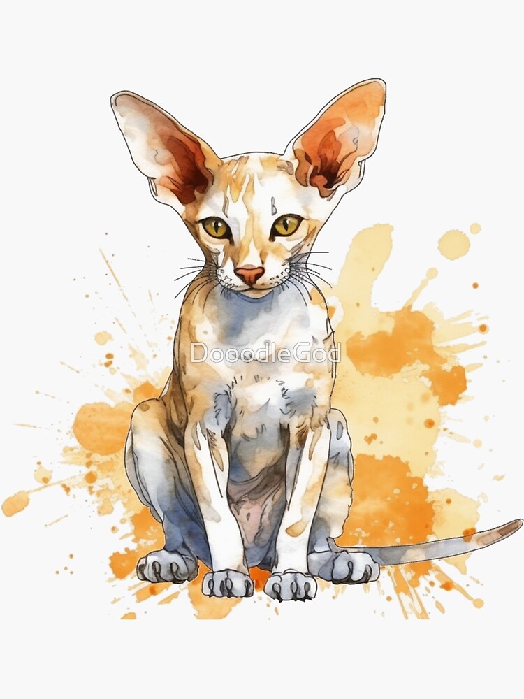  Sleek Cornish Rex Co: Feline Design for Playful - Hypoallergenic