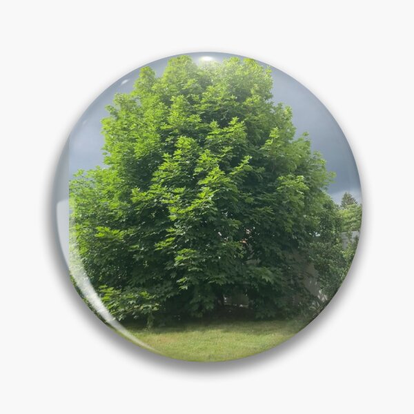 Item preview, Maple Tree With Ominous Sky designed and sold by Amanda1775.