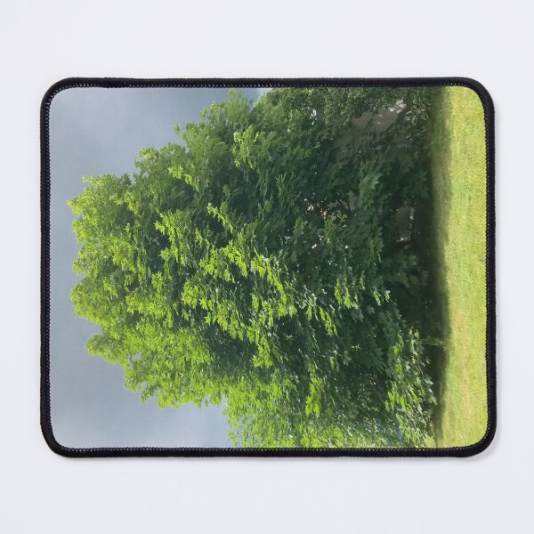 Item preview, Maple Tree With Ominous Sky designed and sold by Amanda1775.