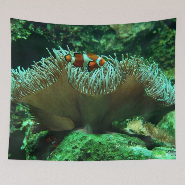 Item preview, Stunning Fish designed and sold by Fearless-Fox.