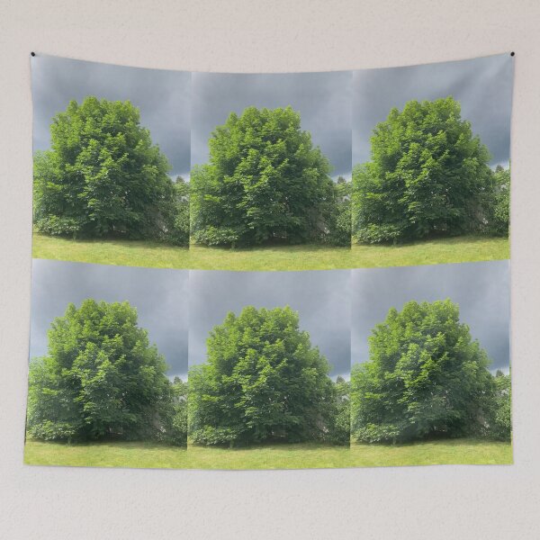 Item preview, Maple Tree With Ominous Sky designed and sold by Amanda1775.