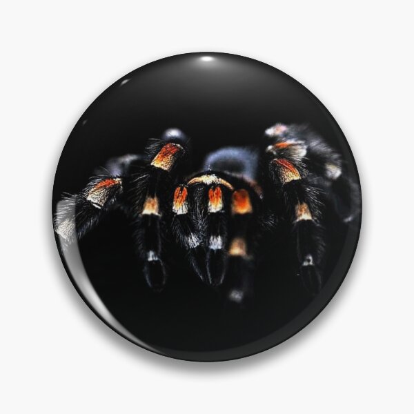 Item preview, Tarantula (Theraphosidae) designed and sold by FlutterByH.