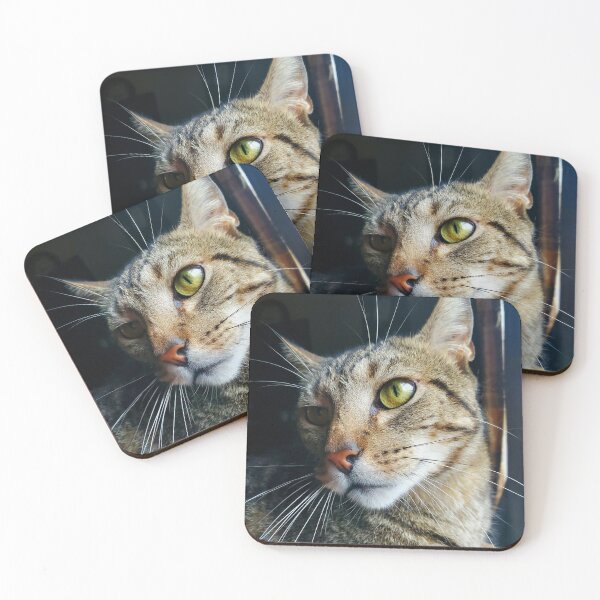 Item preview, Pretty Kitty designed and sold by TwistedStag.