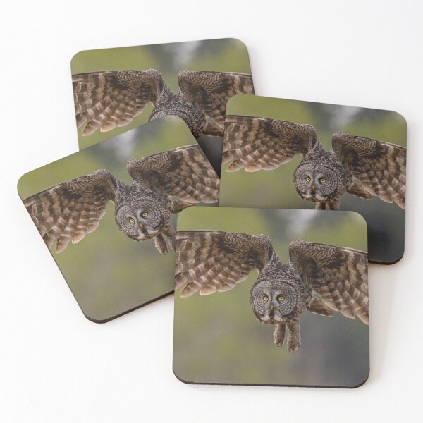 Item preview, Great Grey Owl in Flight designed and sold by Vargulich.