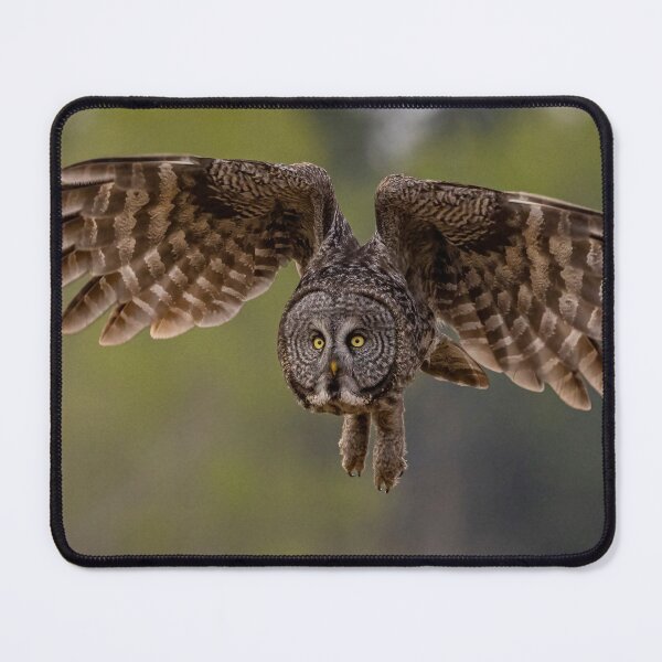 Item preview, Great Grey Owl in Flight designed and sold by Vargulich.