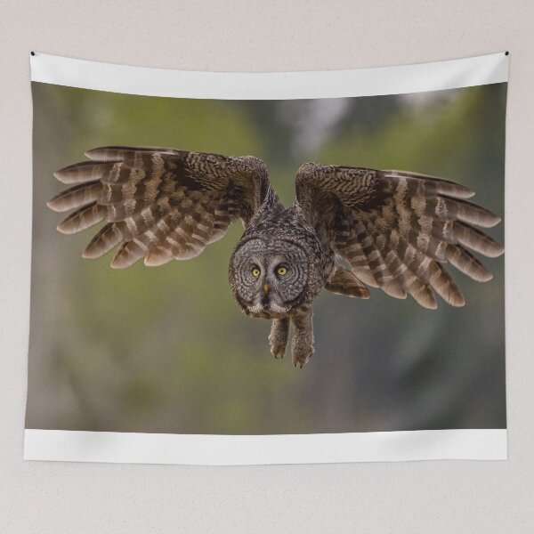 Item preview, Great Grey Owl in Flight designed and sold by Vargulich.