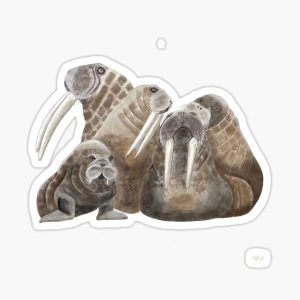Item preview, Walrus Family  designed and sold by KateVanFloofno1.