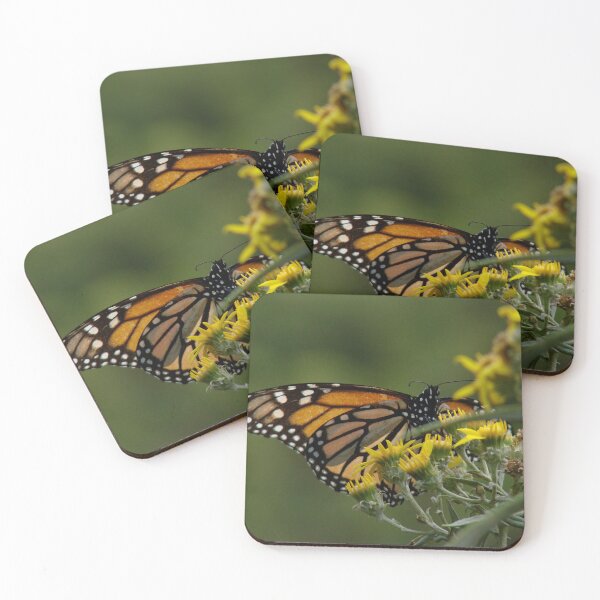 Item preview, Mexican Monarch Butterfly designed and sold by matthewbam.