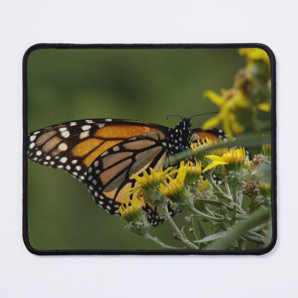 Item preview, Mexican Monarch Butterfly designed and sold by matthewbam.