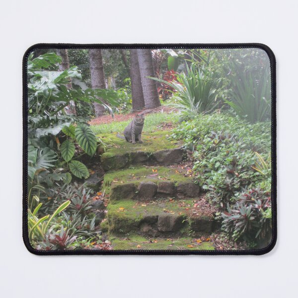 Item preview, Hawaiian Cat designed and sold by LifExtroardinar.