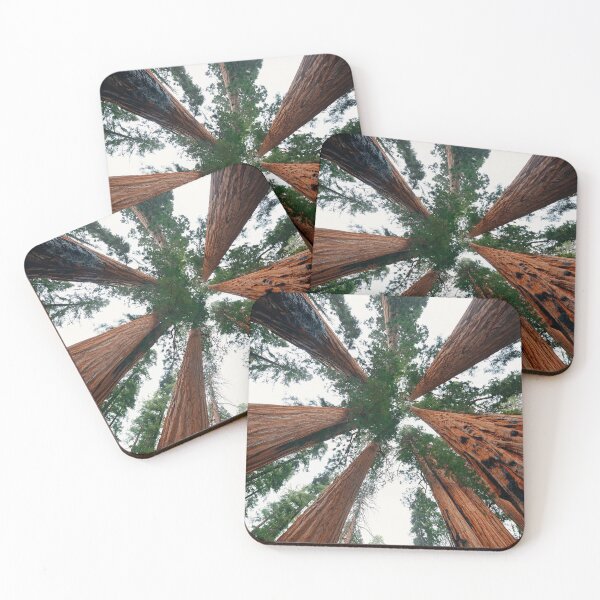 Item preview, Tree looking Up designed and sold by christineiris.