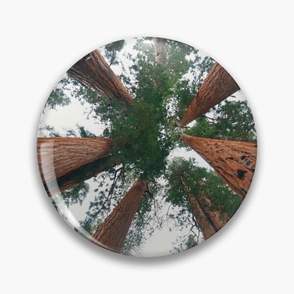 Item preview, Tree looking Up designed and sold by christineiris.
