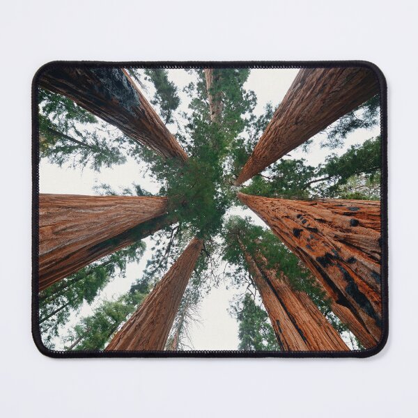 Item preview, Tree looking Up designed and sold by christineiris.