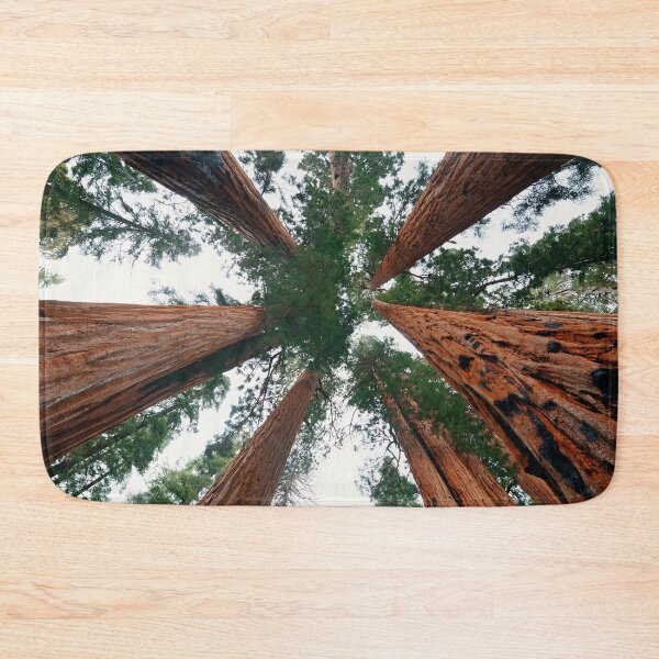Item preview, Tree looking Up designed and sold by christineiris.