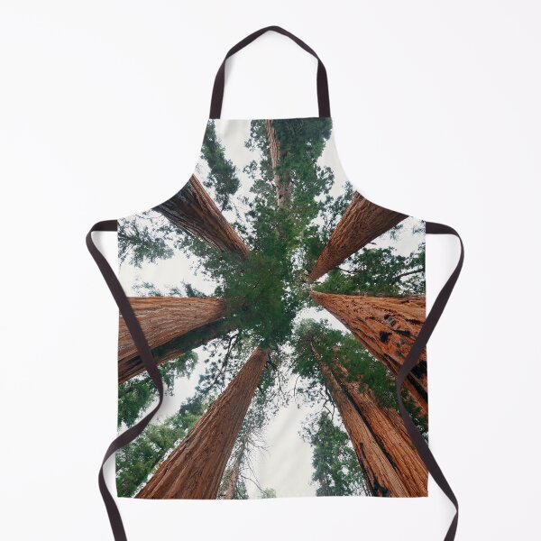 Item preview, Tree looking Up designed and sold by christineiris.