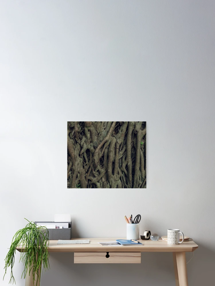 Thumbnail 2 of 3, Poster, Tree Roots designed and sold by christineiris.