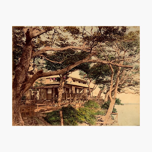 Hommoku tea house Photographic Print