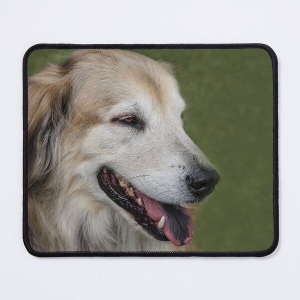 Item preview, Gorgeous Golden designed and sold by heatherfriedman.
