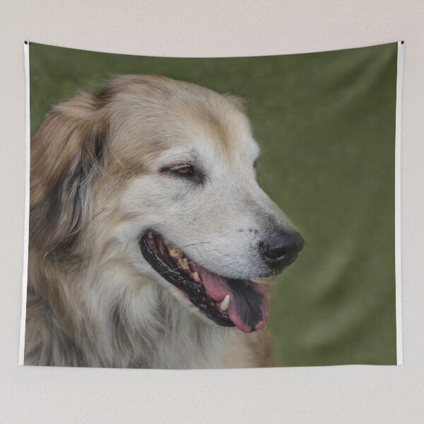 Item preview, Gorgeous Golden designed and sold by heatherfriedman.