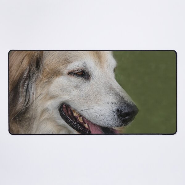 Item preview, Gorgeous Golden designed and sold by heatherfriedman.